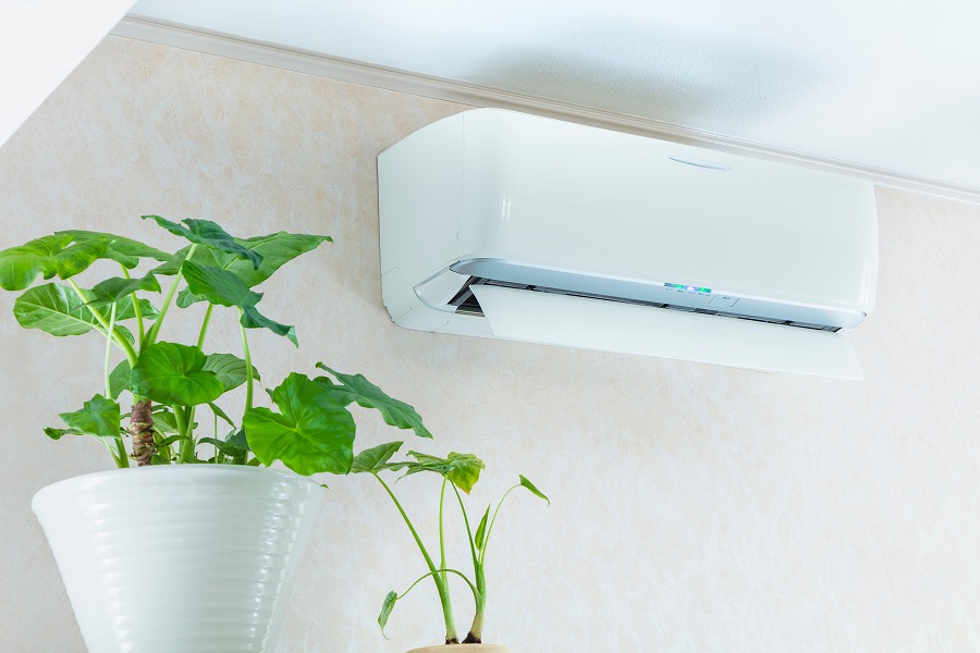 AdobeStock_2497165832